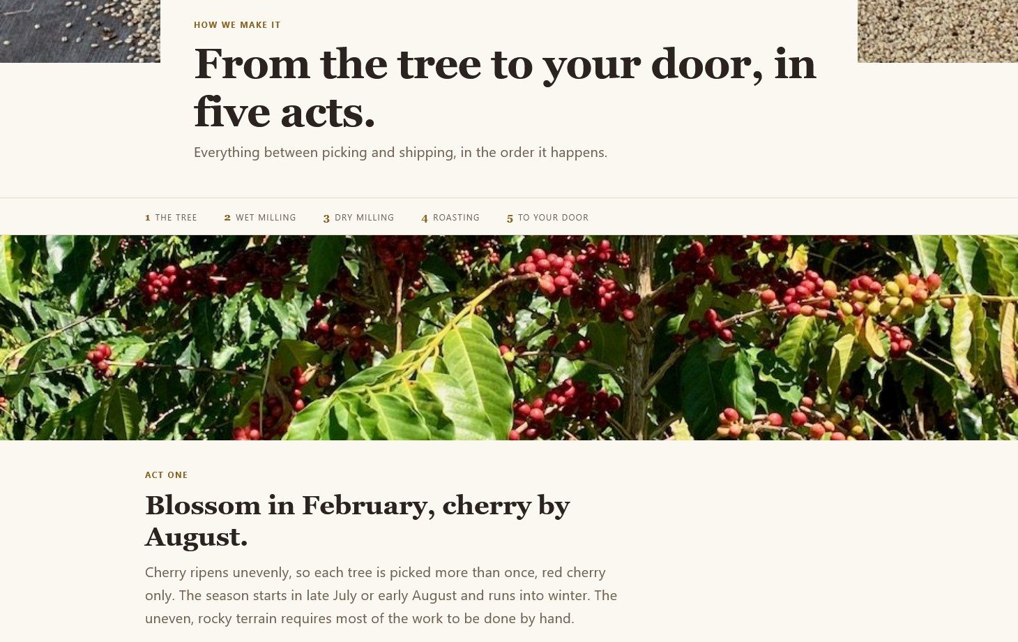 The new Bea's Knees Farm process page: the heading From the tree to your door, in five acts, a row of five numbered acts, and Act one, Blossom in February, cherry by August
