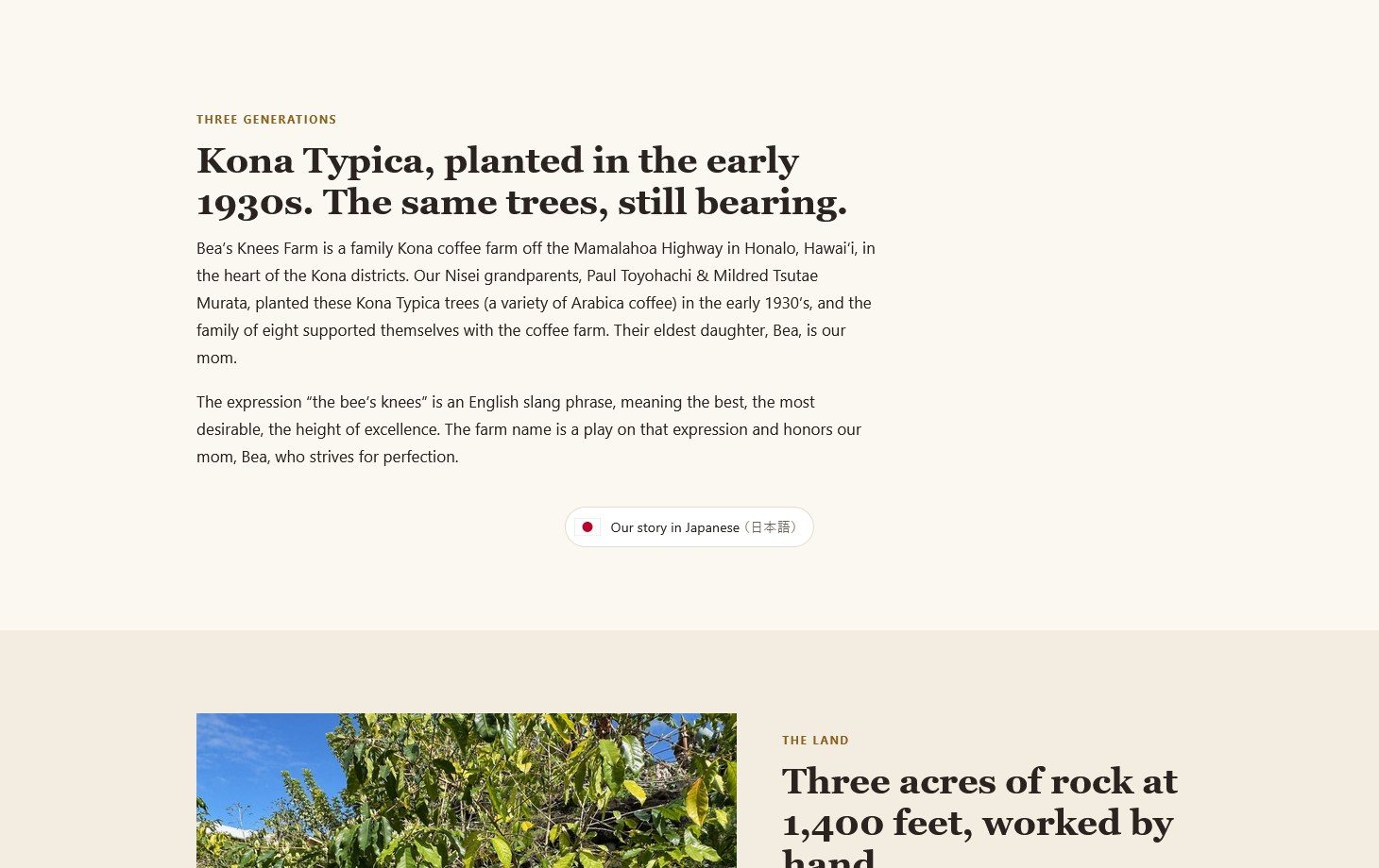 The new Bea's Knees Farm story page: the section Kona Typica, planted in the early 1930s. The same trees, still bearing, above a panel on the farm's three acres of rock